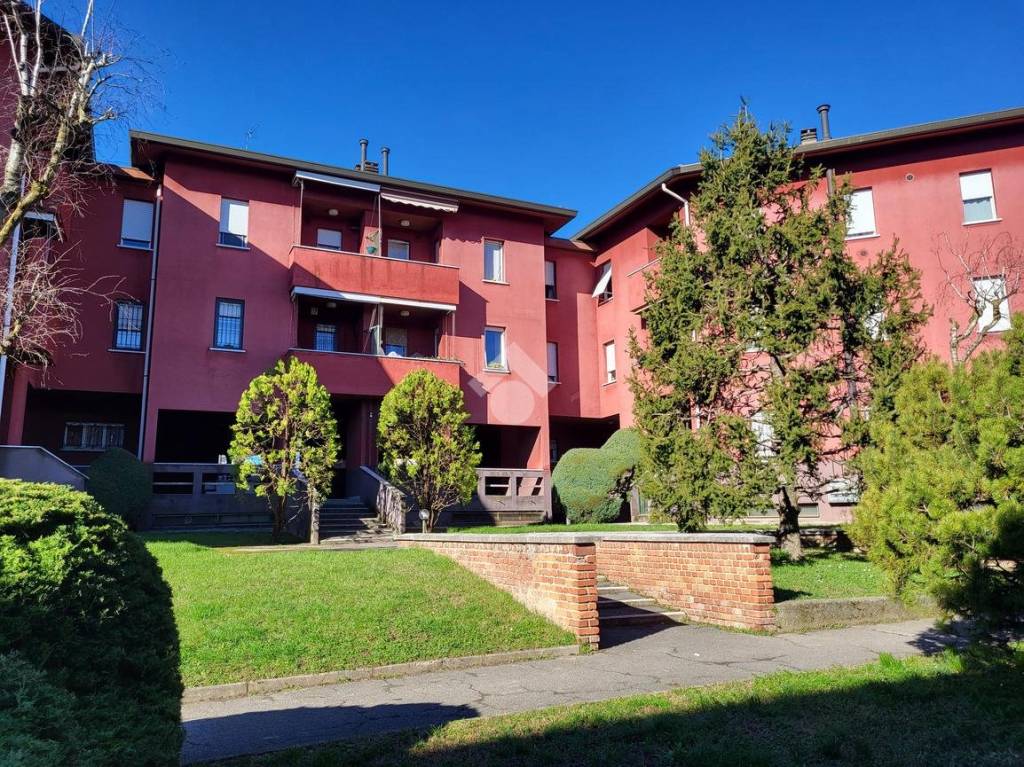 immagine annuncio 2 di 15