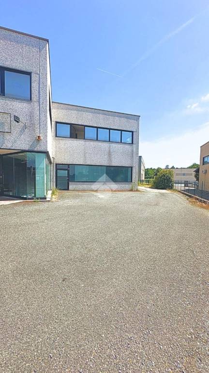 immagine annuncio 9 di 13