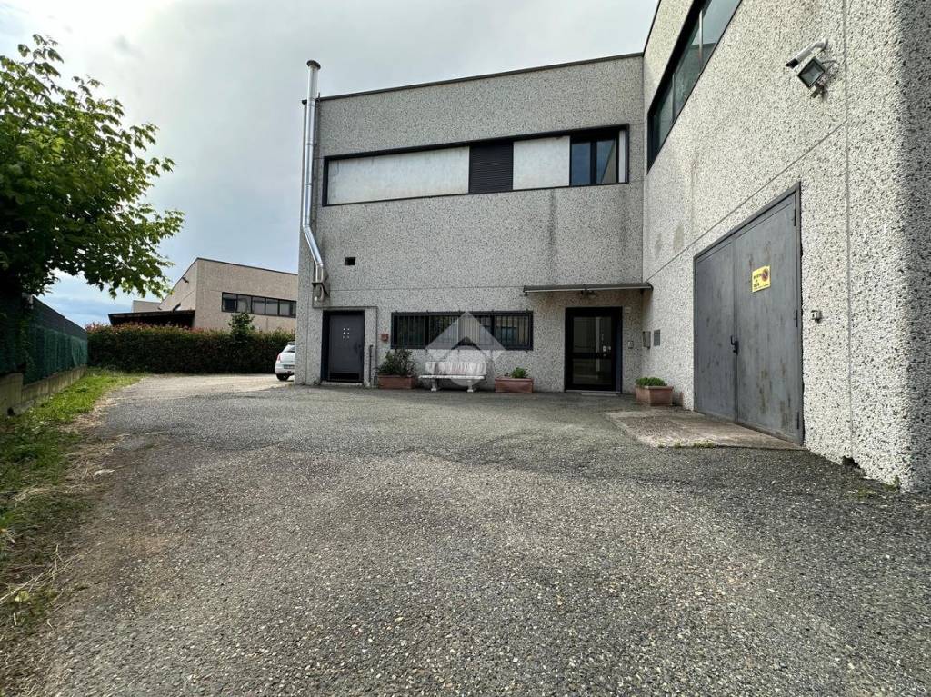 immagine annuncio 12 di 13