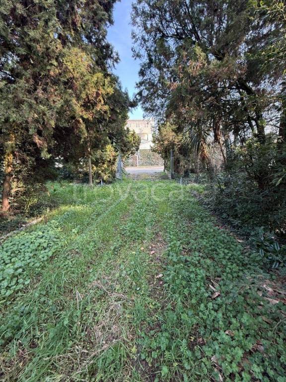 immagine annuncio 7 di 11