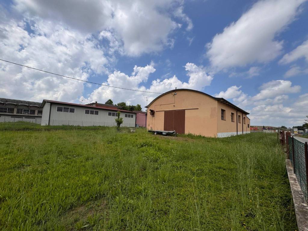 immagine annuncio 9 di 10