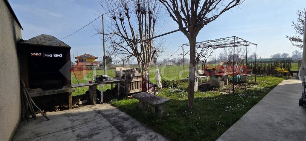 immagine annuncio 2 di 12