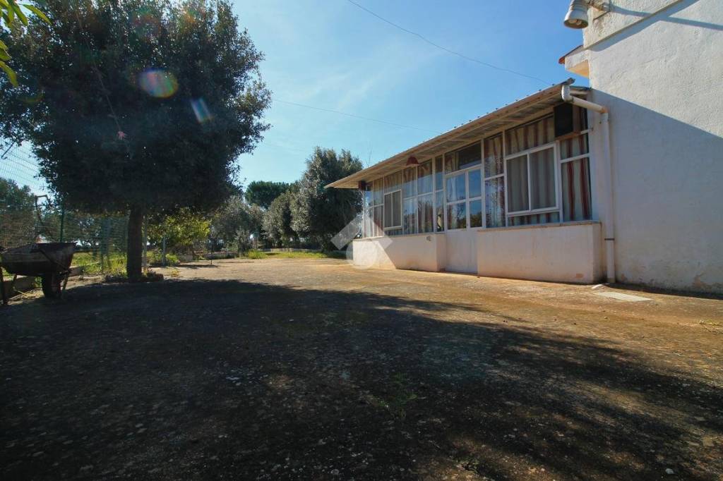 immagine annuncio 1 di 6