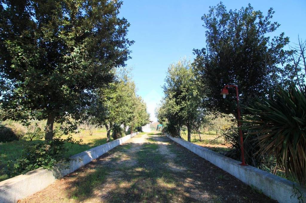 immagine annuncio 5 di 6