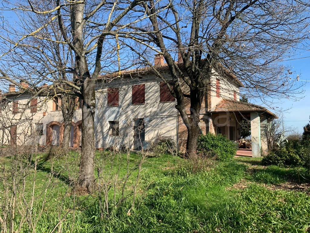 immagine annuncio 2 di 8