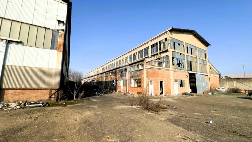 immagine annuncio 9 di 15