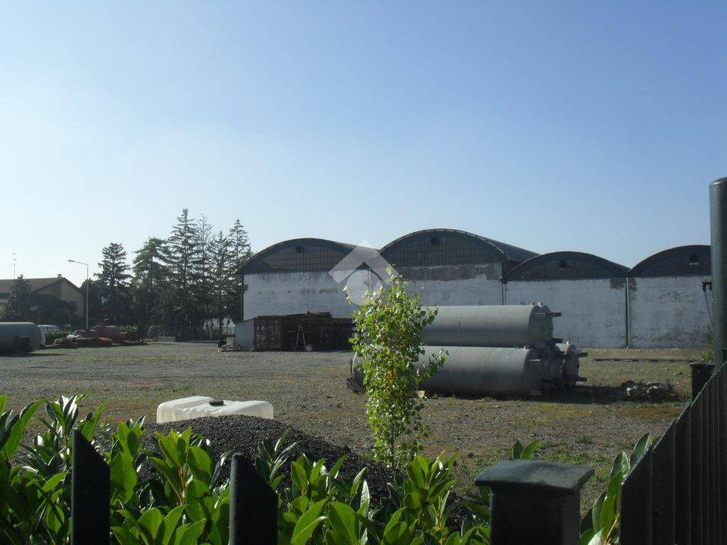 immagine annuncio 10 di 12