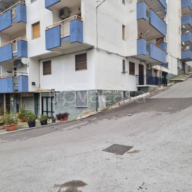 immagine annuncio 3 di 12