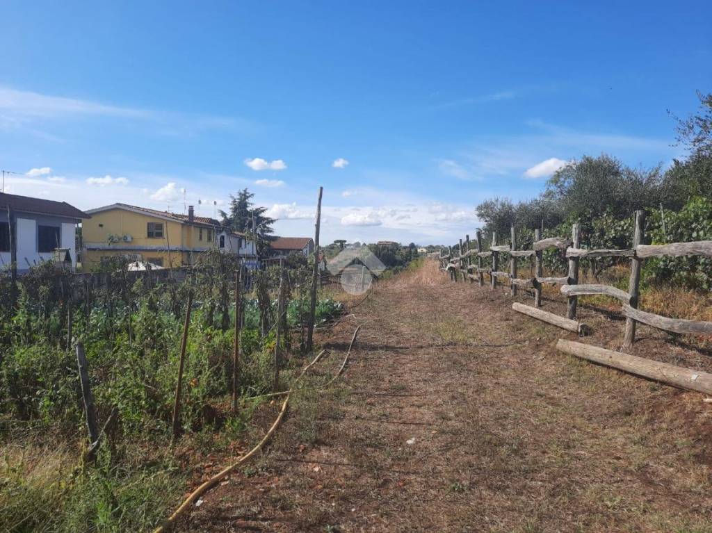 immagine annuncio 13 di 14