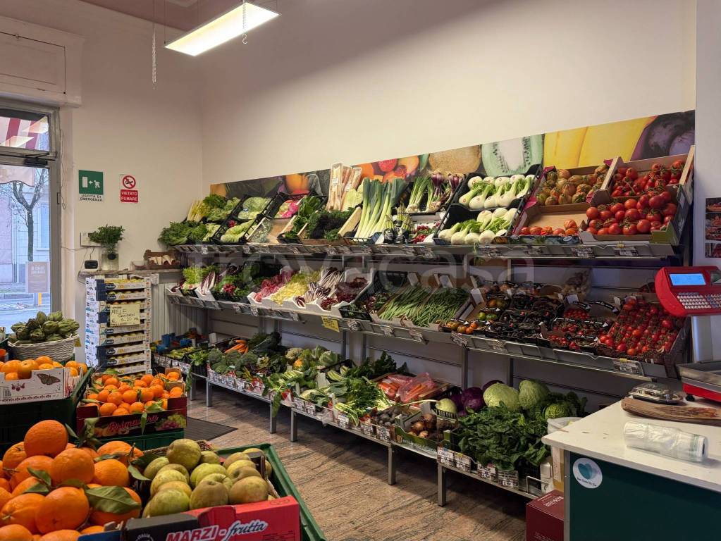 immagine annuncio 7 di 15