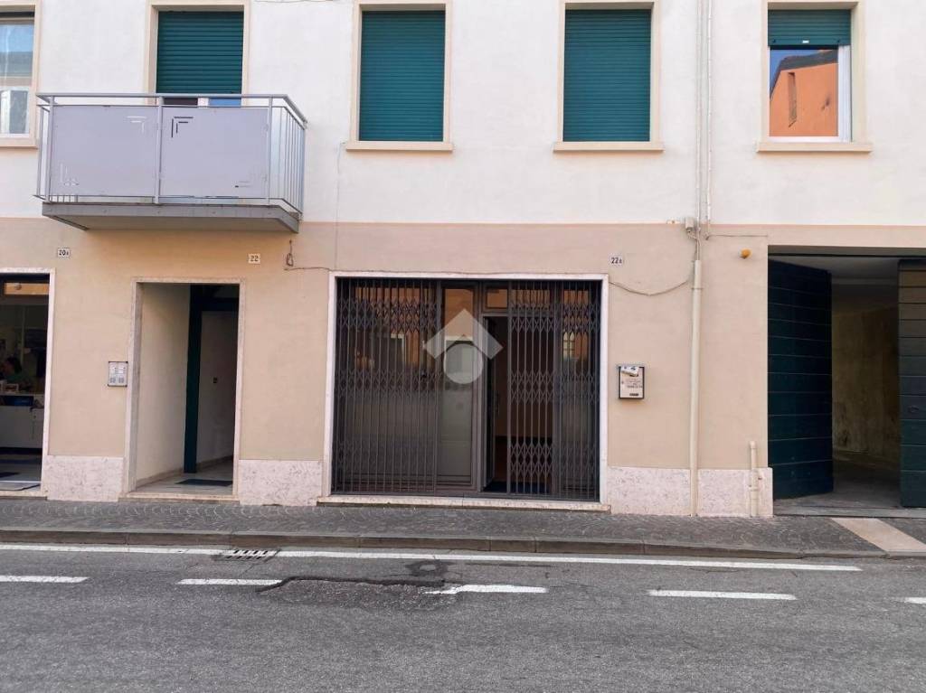 immagine annuncio 3 di 14