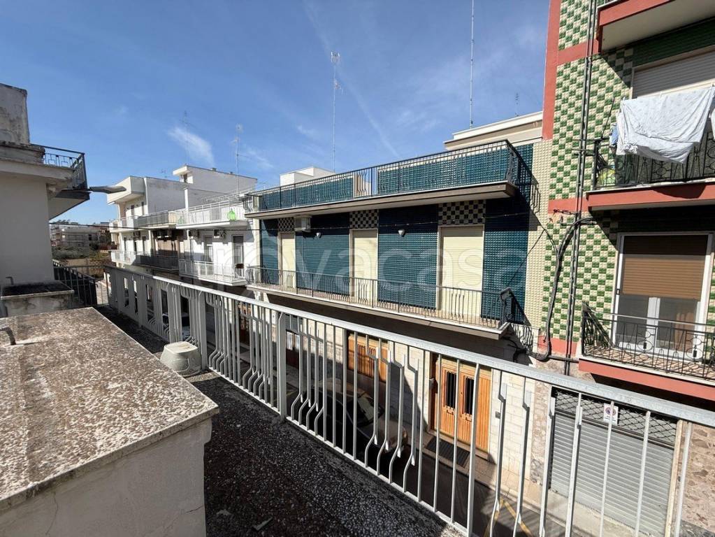 immagine annuncio 11 di 14