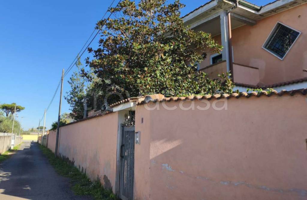 immagine annuncio 4 di 12