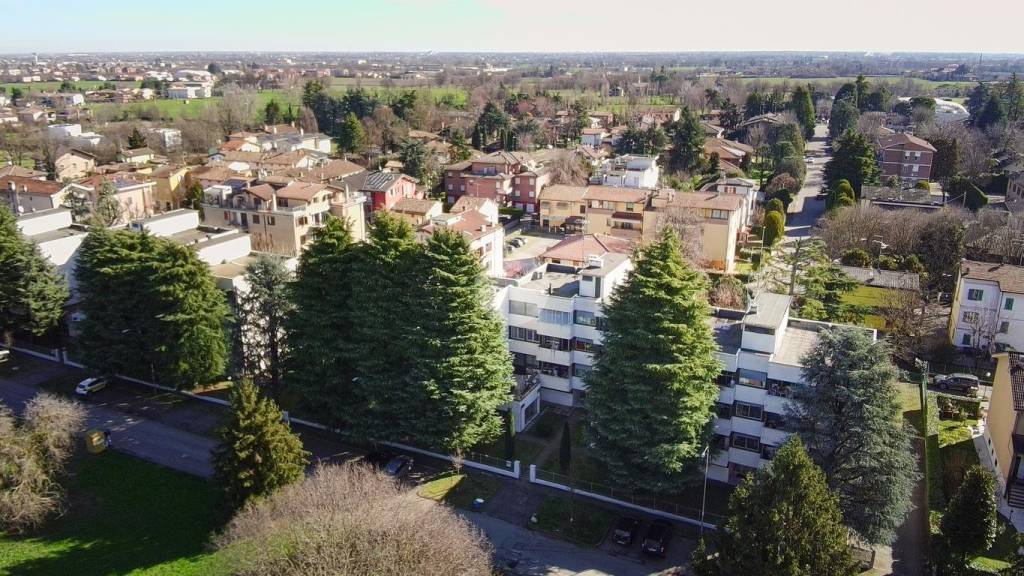 immagine annuncio 12 di 13