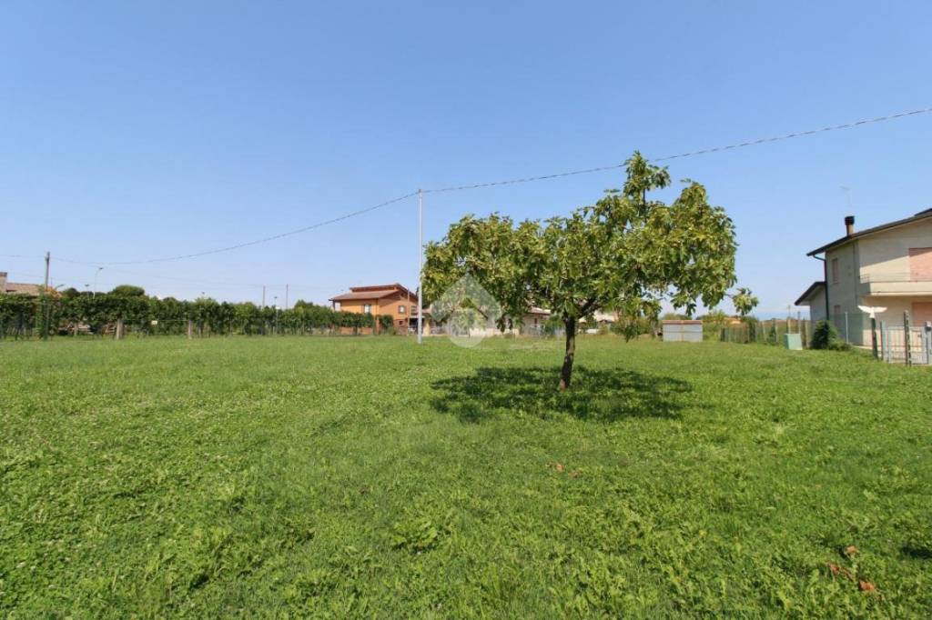 immagine annuncio 5 di 14