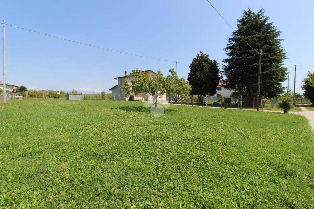 immagine annuncio 6 di 14