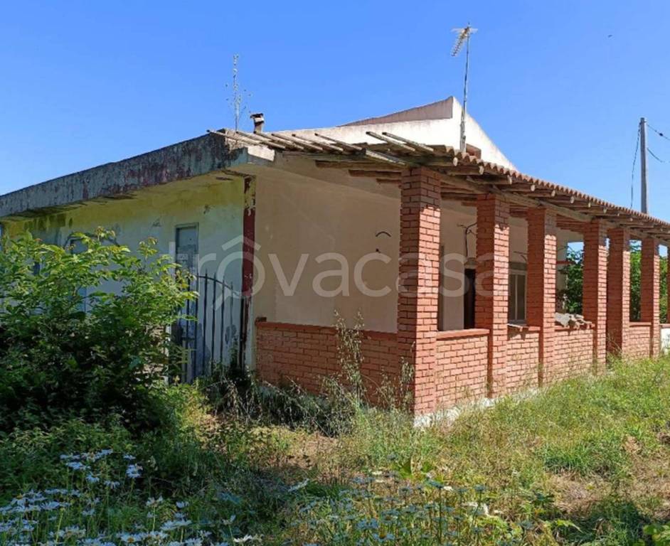 immagine annuncio 4 di 11