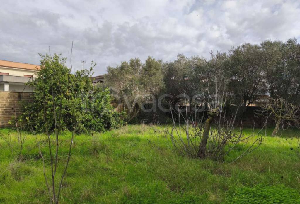 immagine annuncio 1 di 8