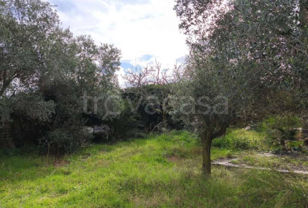 immagine annuncio 2 di 8