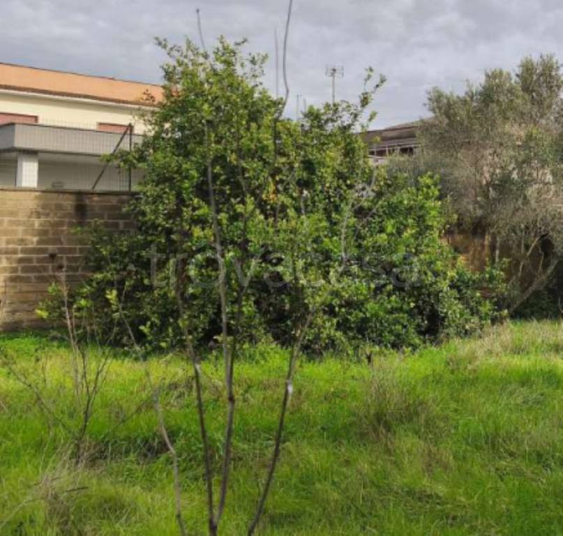 immagine annuncio 3 di 8