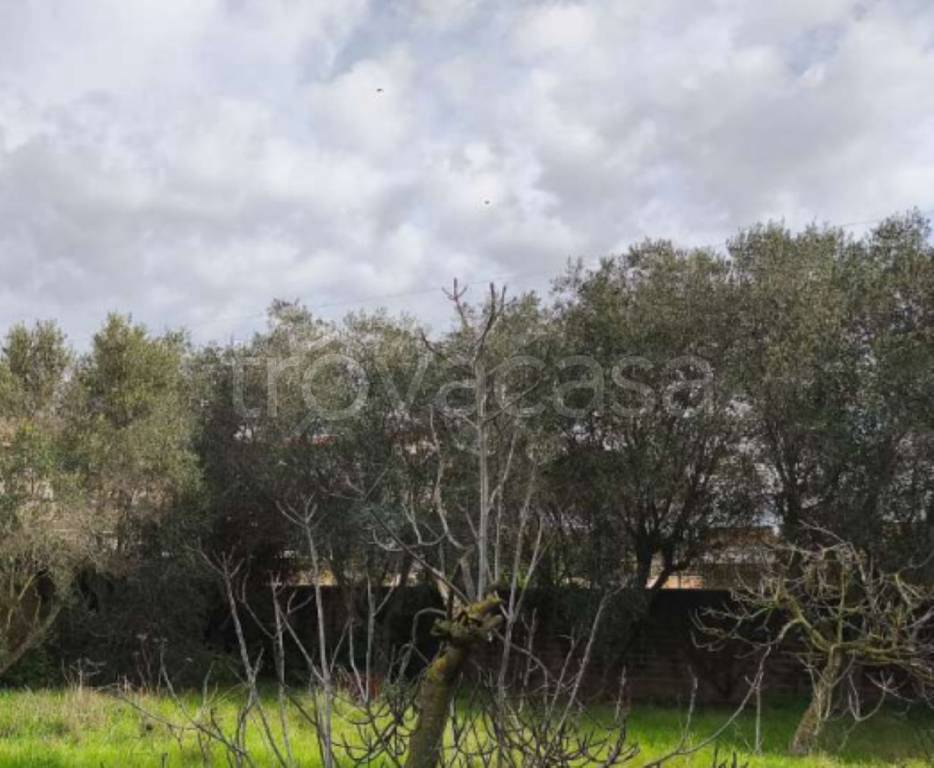 immagine annuncio 4 di 8