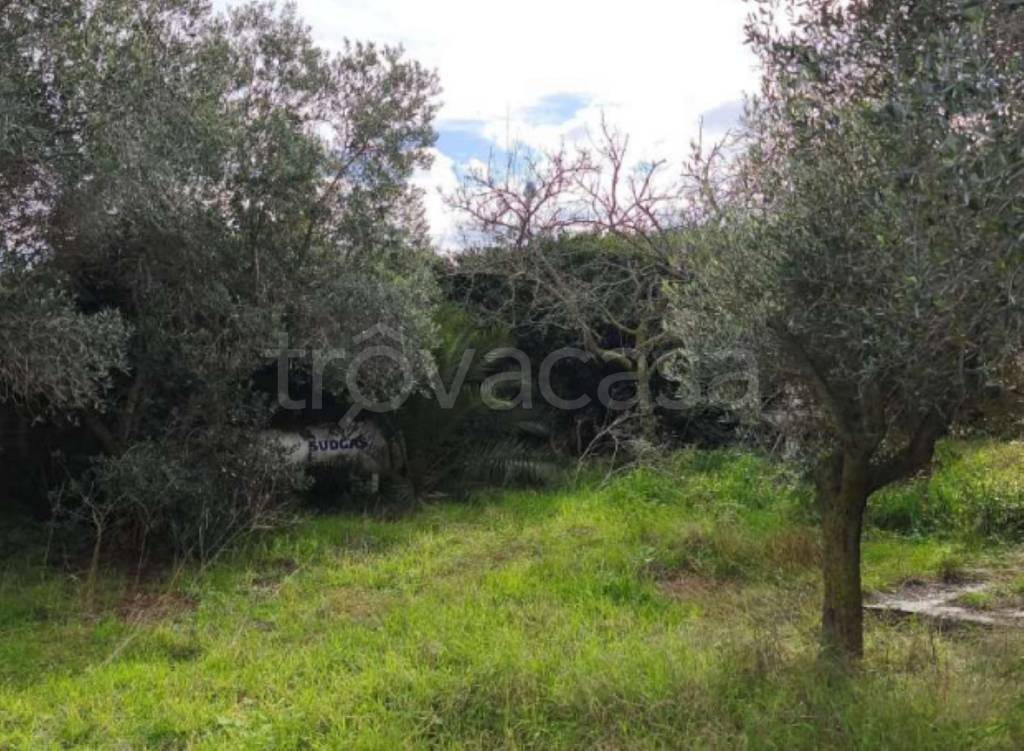 immagine annuncio 5 di 8