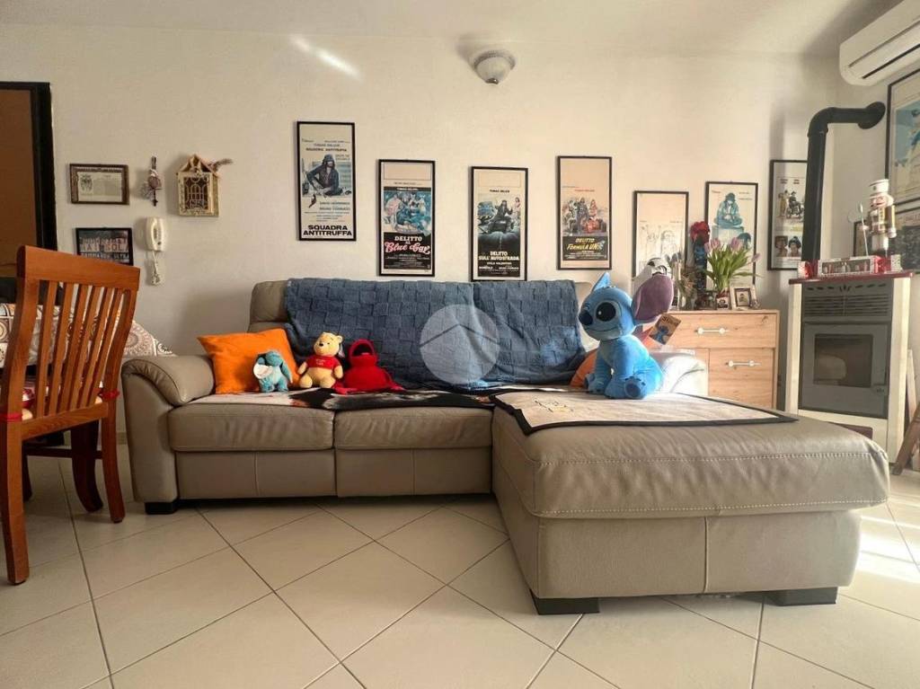 immagine annuncio 8 di 15