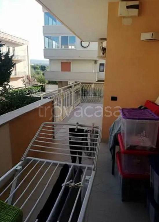 immagine annuncio 9 di 12