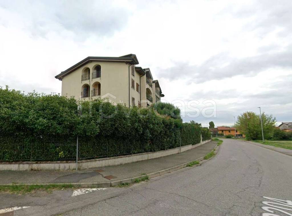 immagine annuncio 9 di 15