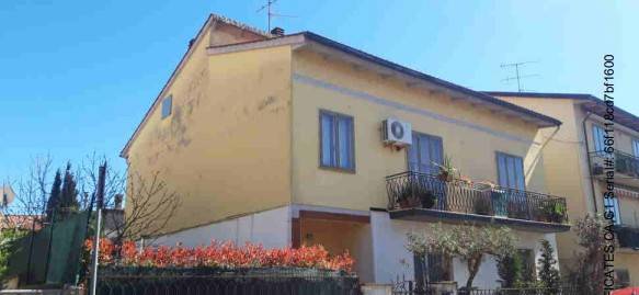 immagine annuncio 1 di 14