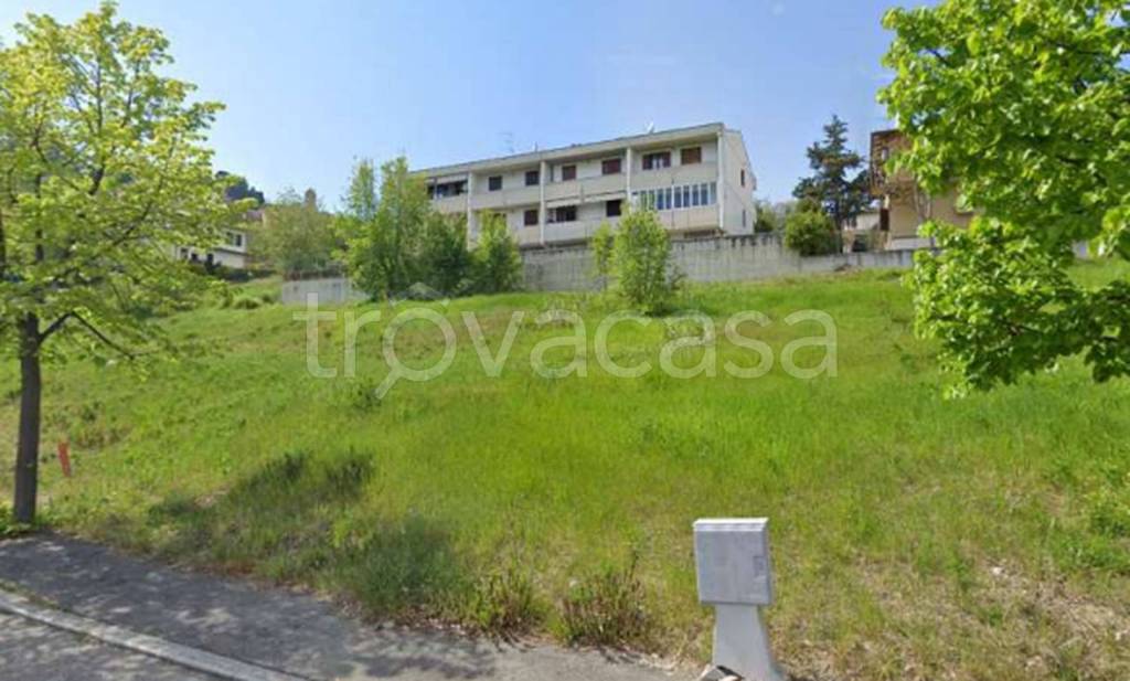 immagine annuncio 7 di 12