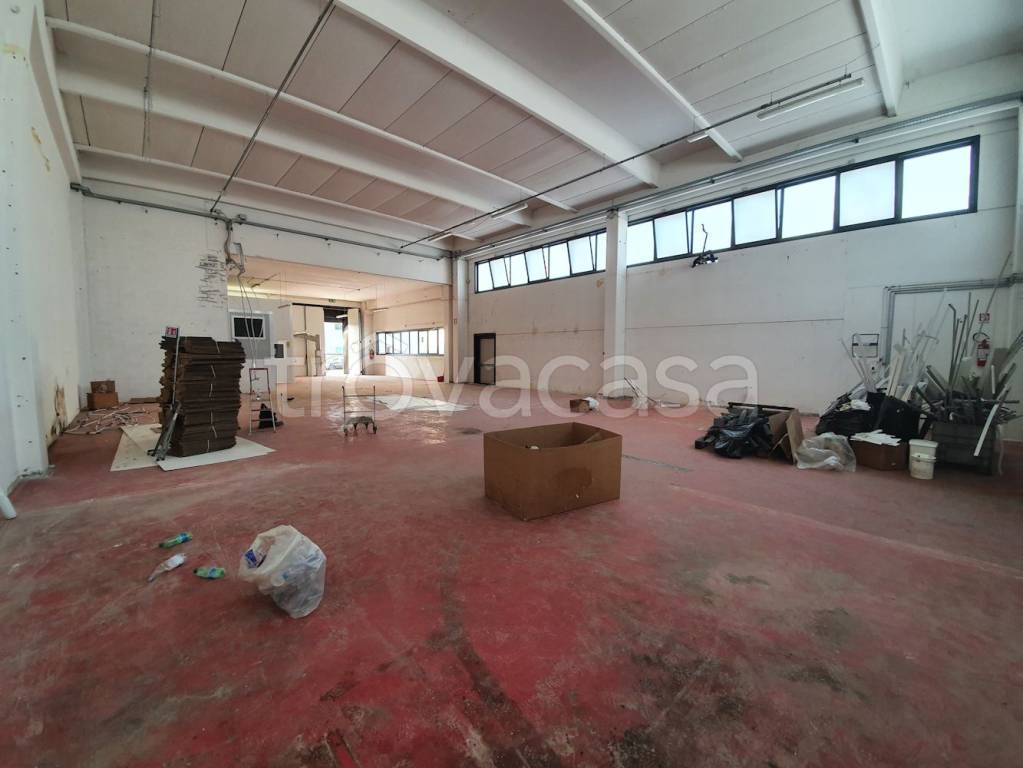 immagine annuncio 1 di 7