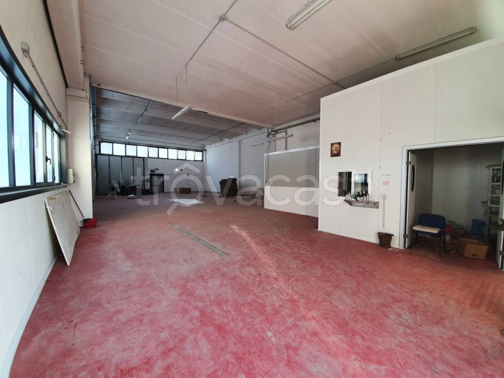 immagine annuncio 3 di 7