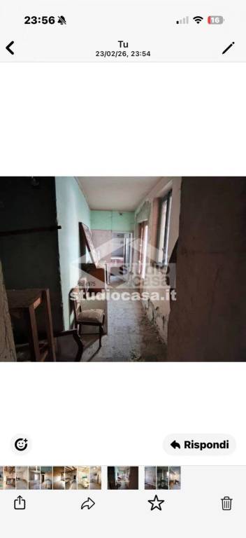 immagine annuncio 4 di 14