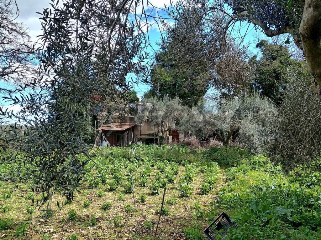 immagine annuncio 6 di 13