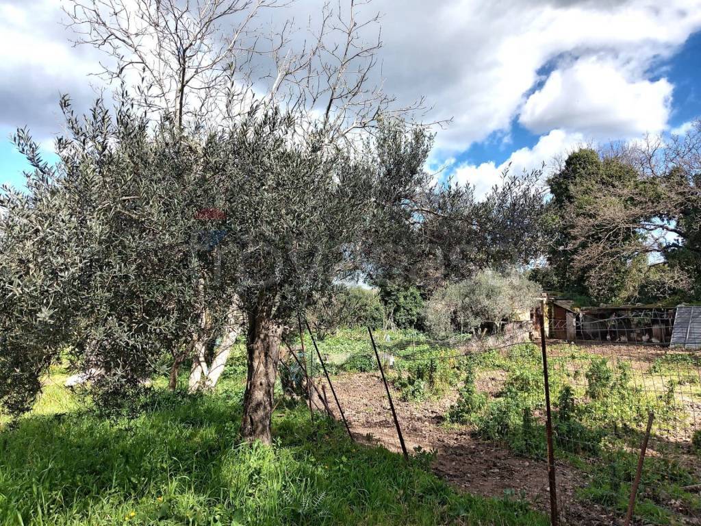 immagine annuncio 8 di 13