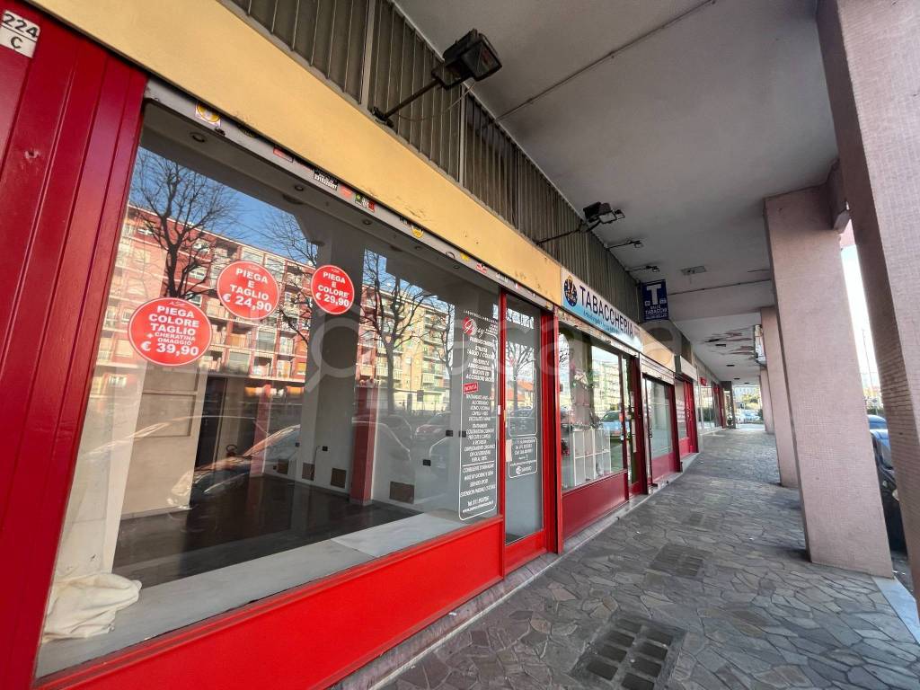 immagine annuncio 1 di 14