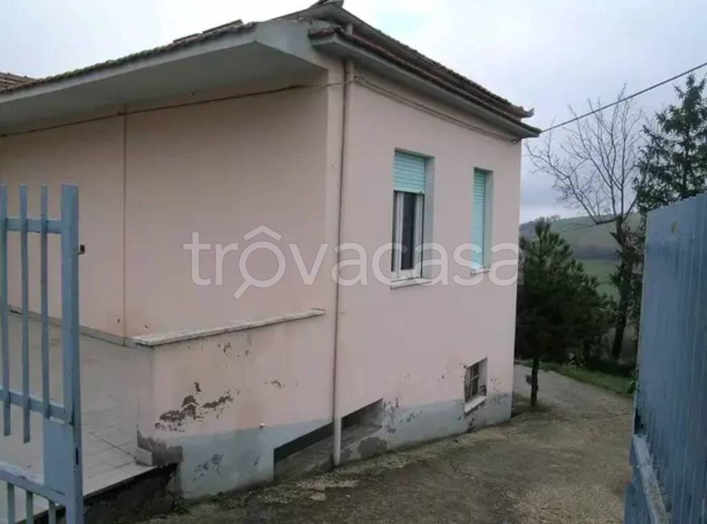 immagine annuncio 2 di 6