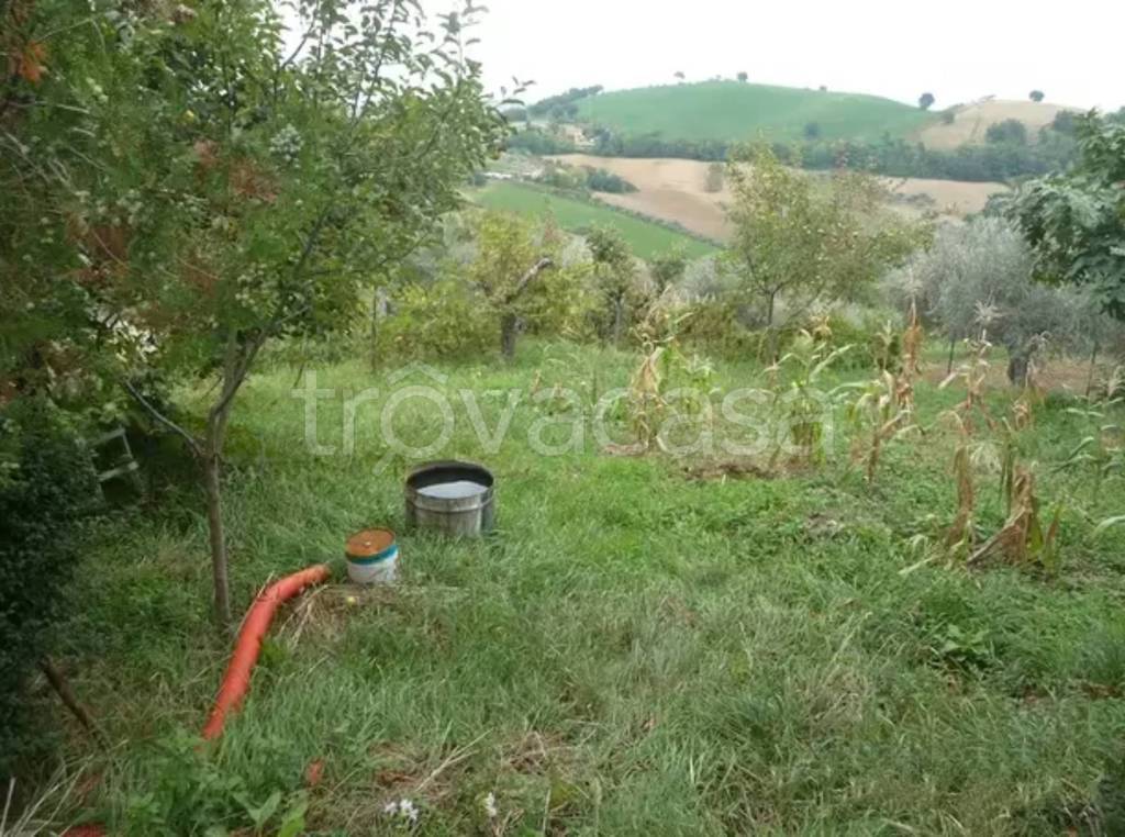 immagine annuncio 5 di 6