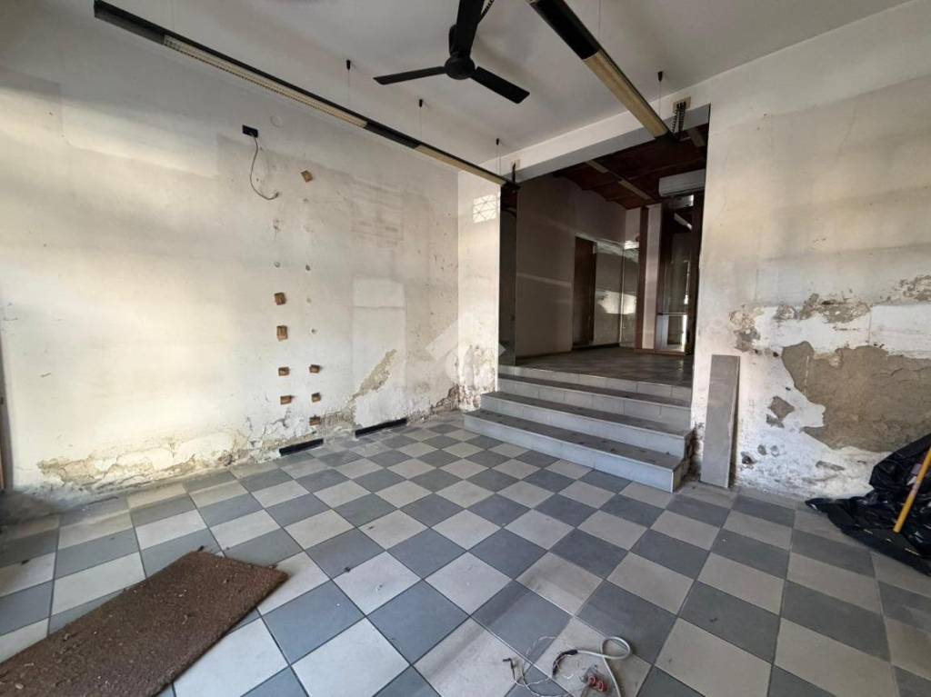 immagine annuncio 11 di 14