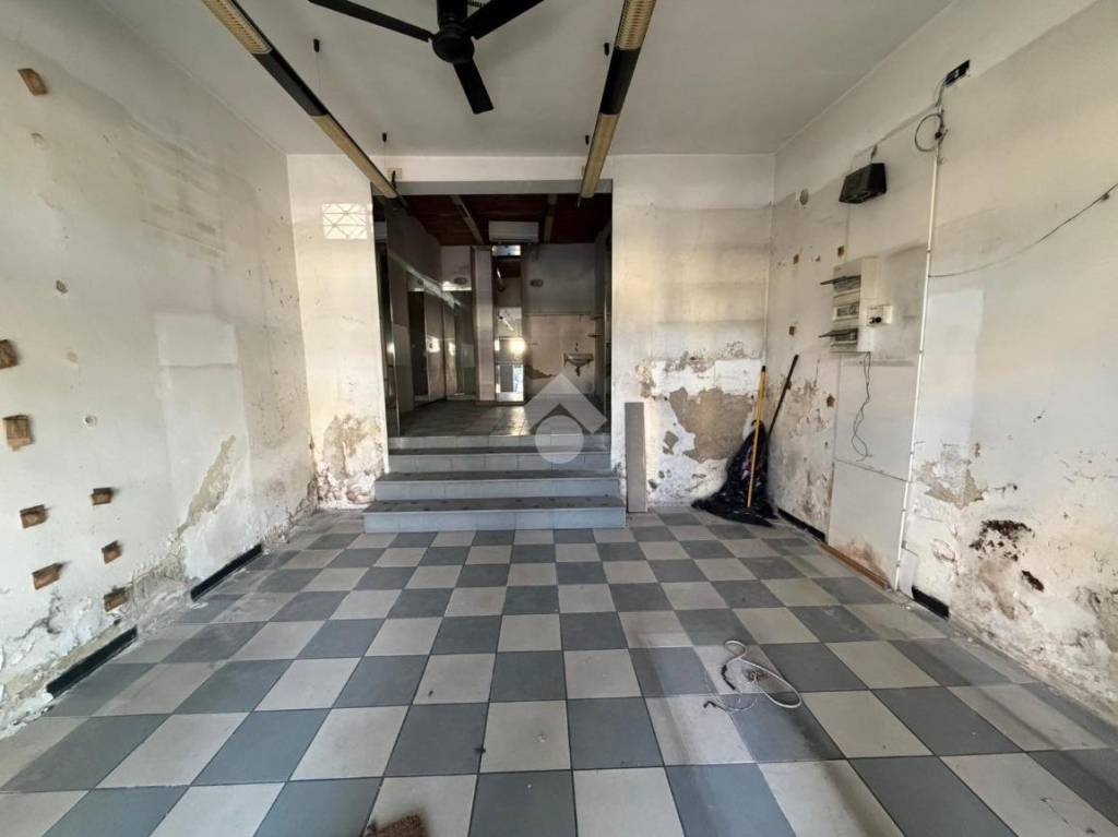 immagine annuncio 12 di 14