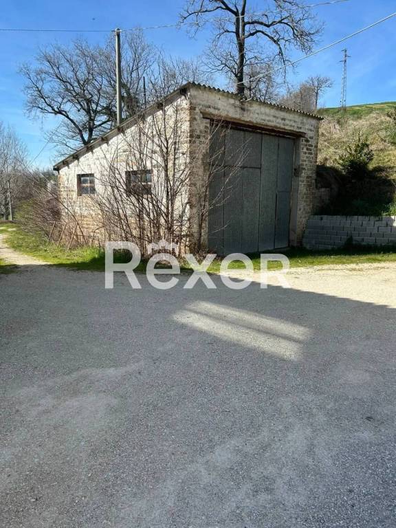 immagine annuncio 4 di 6