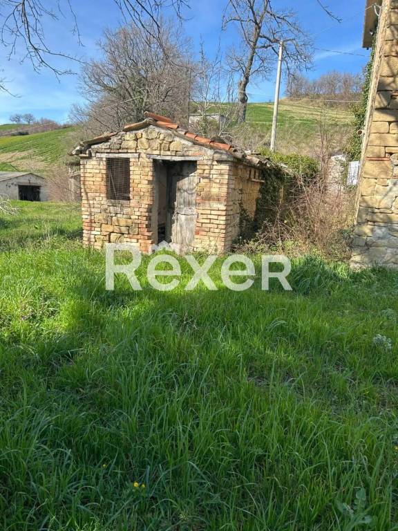 immagine annuncio 5 di 6