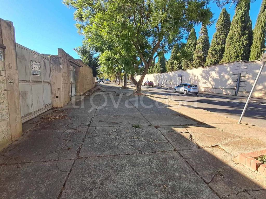 immagine annuncio 5 di 11