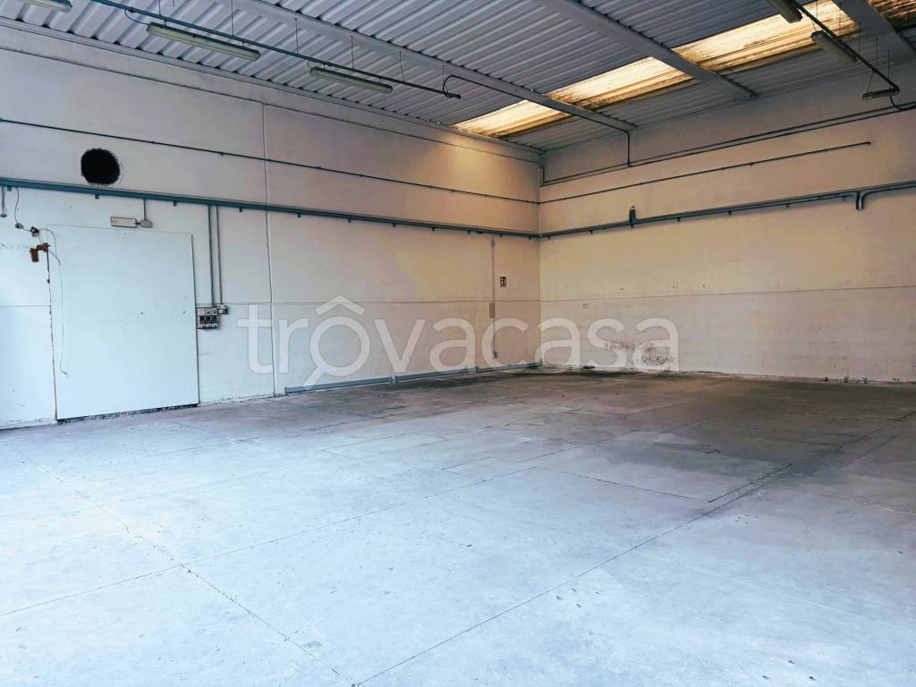 immagine annuncio 1 di 2