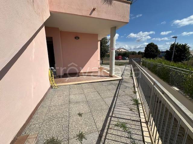 immagine annuncio 5 di 12