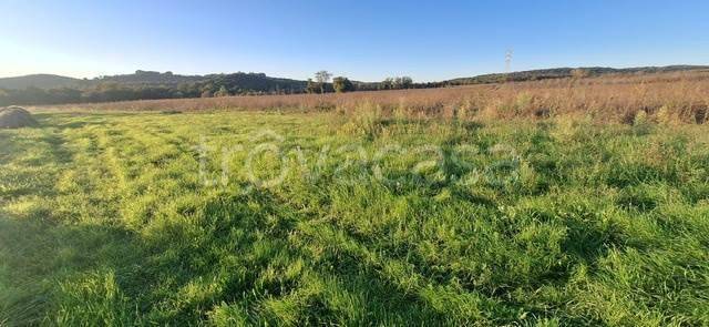 immagine annuncio 5 di 6