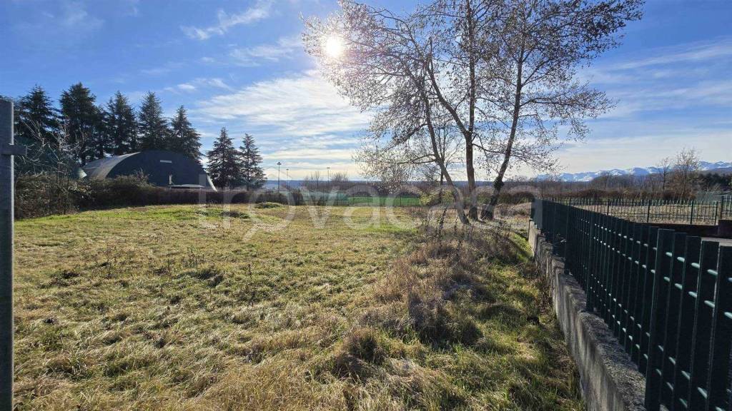 immagine annuncio 1 di 14