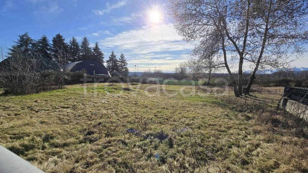 immagine annuncio 3 di 14