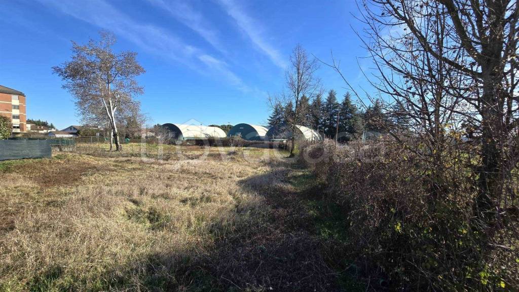 immagine annuncio 7 di 14